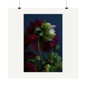 Flower Photography